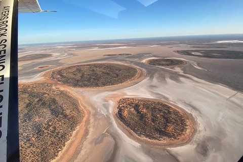 Scenic Flight: Lizard Safari - Restaurant Darwin 1