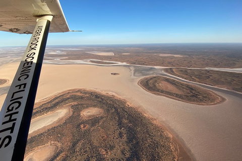 Scenic Flight: Lizard Safari - Restaurant Darwin 3