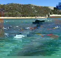 All Inclusive Dolphin and Tangalooma Wrecks Cruise - Restaurant Darwin
