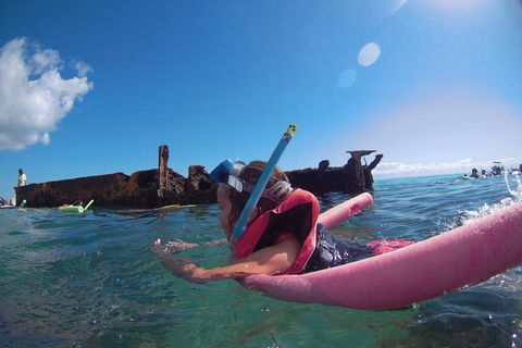 All Inclusive Dolphin And Tangalooma Wrecks Cruise - Restaurant Darwin 2