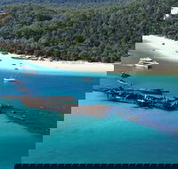 All Inclusive Tangalooma Wrecks Cruise Tour From Gold Coast - Restaurant Darwin