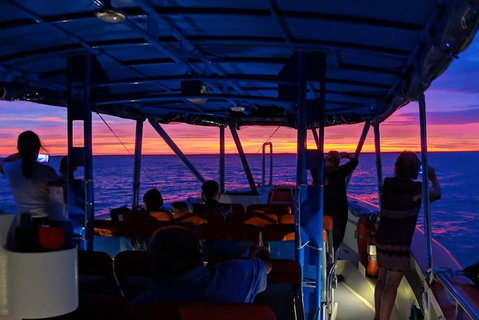 Darwin Sunset Cruise Including Fish 'n' Chips - Restaurant Darwin 1