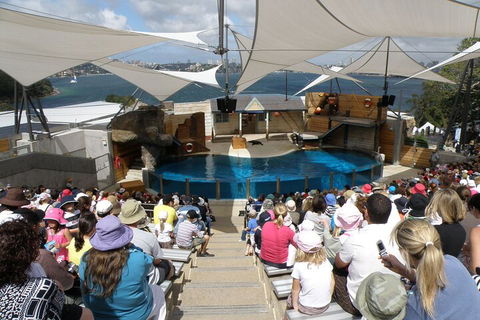 Sydney Taronga Zoo General Entry Ticket - Restaurant Darwin 5