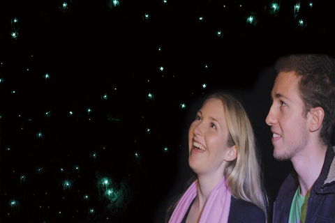 Natural Bridge Glow Worm Night Tour From Gold Coast - Restaurant Darwin 3