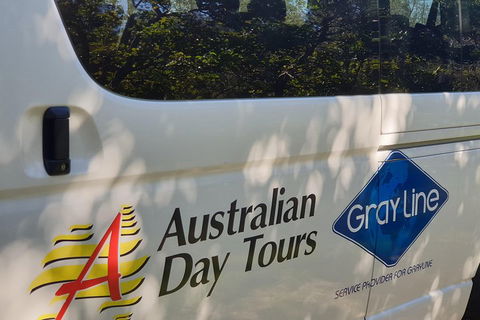 Natural Bridge Glow Worm Night Tour From Gold Coast - Restaurant Darwin 5