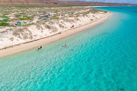 Ningaloo In A Day - Full Day Hike And Snorkel Tour With Lunch - Restaurant Darwin 0