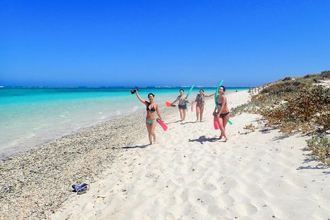 Ningaloo In A Day - Full Day Hike And Snorkel Tour With Lunch - Restaurant Darwin 1