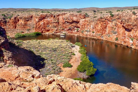 Ningaloo In A Day - Full Day Hike And Snorkel Tour With Lunch - Restaurant Darwin 2