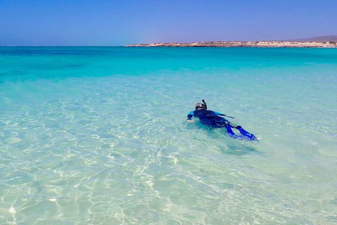 Ningaloo In A Day - Full Day Hike And Snorkel Tour With Lunch - Restaurant Darwin 4