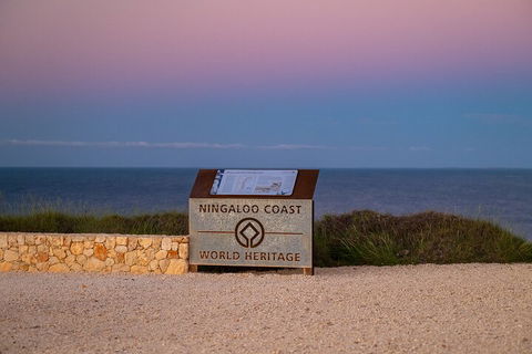 Ningaloo In A Day - Full Day Hike And Snorkel Tour With Lunch - Restaurant Darwin 5