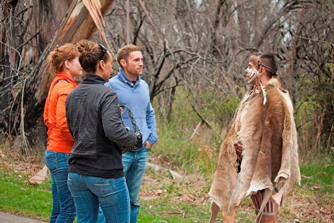Blue Mountains Tour From Sydney With An Aboriginal Experience - Restaurant Darwin 3