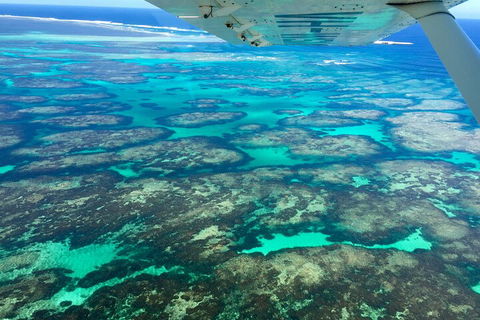 Shipwreck Special Full Day Tour Of The Abrolhos Islands - Restaurant Darwin 1