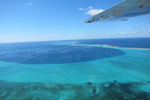 Shipwreck Special Full Day Tour Of The Abrolhos Islands - Restaurant Darwin 2