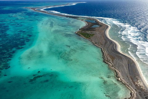 Shipwreck Special Full Day Tour Of The Abrolhos Islands - Restaurant Darwin 3
