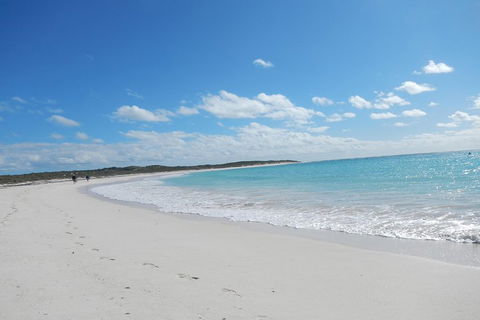 Shipwreck Special Nature Tour/Half Day Tour - Restaurant Darwin 0