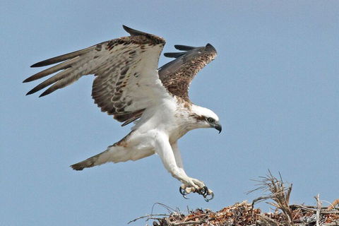 Shipwreck Special Nature Tour/Half Day Tour - Restaurant Darwin 4