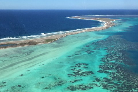 Pink Lake + Abrolhos Islands Nature Tour - Restaurant Darwin 2