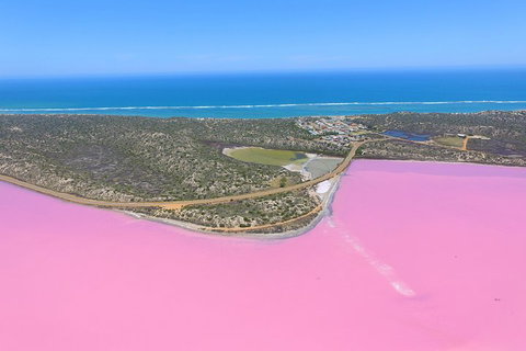 Pink Lake + Abrolhos Islands Nature Tour - Restaurant Darwin 4
