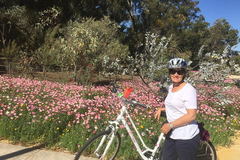 Perth Bike Tour - Beautiful Matilda Bay And Kings Park - Restaurant Darwin 1