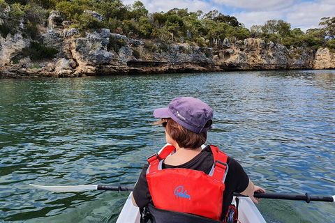 Cliffs And Caves Kayak Tour In Swan River - Restaurant Darwin 0