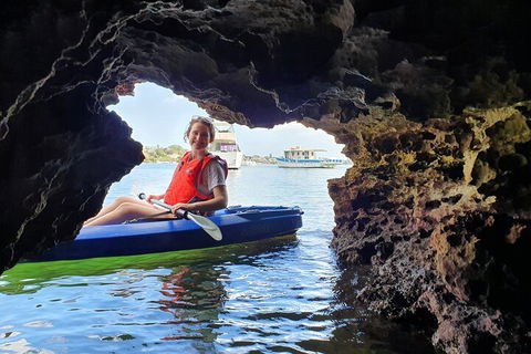 Cliffs And Caves Kayak Tour In Swan River - Restaurant Darwin 1