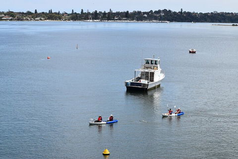 Cliffs And Caves Kayak Tour In Swan River - Restaurant Darwin 2