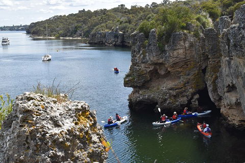 Cliffs And Caves Kayak Tour In Swan River - Restaurant Darwin 5