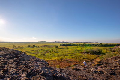 Kakadu Nourlangie and Yellow Waters Tour from Darwin