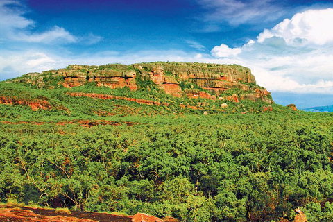 Kakadu, Nourlangie And Yellow Waters Tour From Darwin - Restaurant Darwin 3