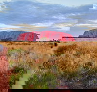 Uluru Ayers Rock Sunset with Outback Barbecue Dinner and Star Tour - Restaurant Darwin