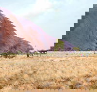 Uluru Sunrise and Guided Base Walk - Restaurant Darwin