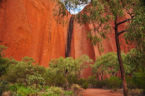 Uluru Sunrise And Guided Base Walk - Restaurant Darwin 3
