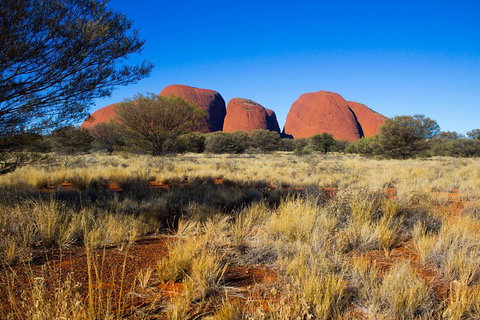 Kata Tjuta Sunrise And Valley Of The Winds Half-Day Trip - Restaurant Darwin 1
