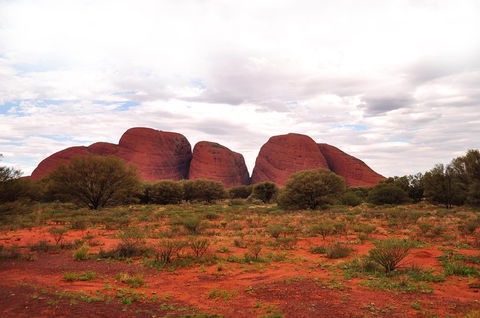 Ayers Rock Combo: Uluru Base And Sunset Plus Uluru Sunrise And Kata Tjuta With An Optional BBQ Dinner Or Kings Canyon Day Trip - Restaurant Darwin 1