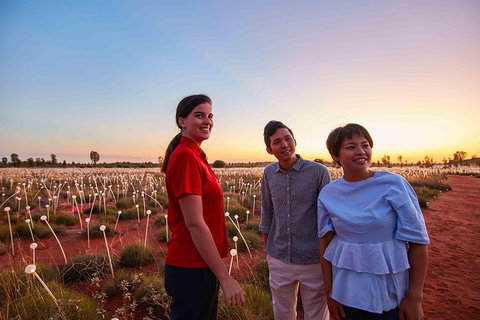 Uluru (Ayers Rock) Field Of Light Sunrise Tour - Restaurant Darwin 2