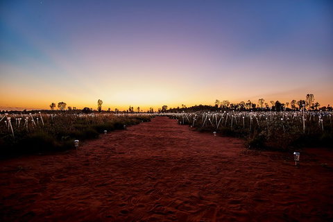 Uluru (Ayers Rock) Field Of Light Sunrise Tour - Restaurant Darwin 3