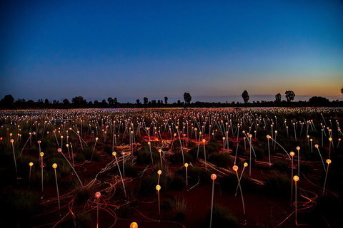 Uluru (Ayers Rock) Field Of Light Sunrise Tour - Restaurant Darwin 4