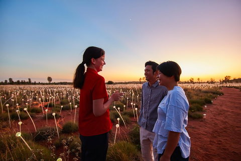 Uluru (Ayers Rock) Field Of Light Sunrise Tour - Restaurant Darwin 5