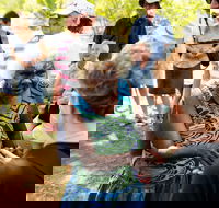 Tiwi Islands Cultural Experience from Darwin Including Ferry - Restaurant Darwin