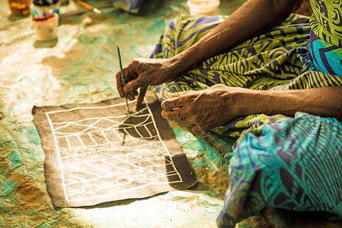 Tiwi Islands Cultural Experience From Darwin Including Ferry - Restaurant Darwin 1