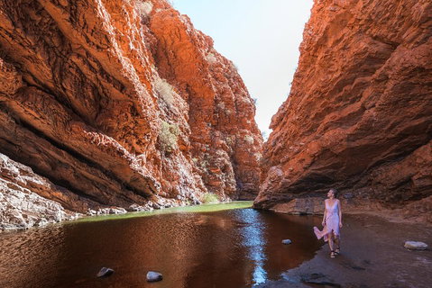 West MacDonnell Ranges- Half Day Trip From Alice Springs - Restaurant Darwin 1