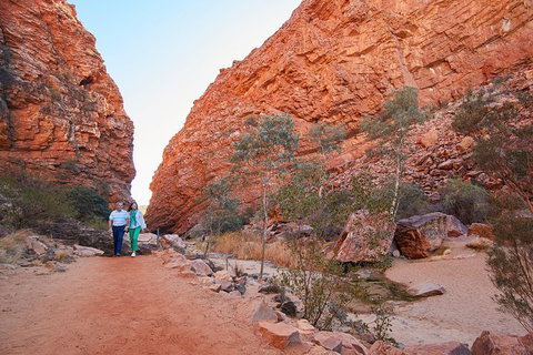 Best Of Alice Springs Full Day Tour - Restaurant Darwin 1