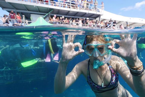 Great Barrier Reef Day Cruise From Cairns Including Snorkeling And Marine Biologist Presentation - Restaurant Darwin 0