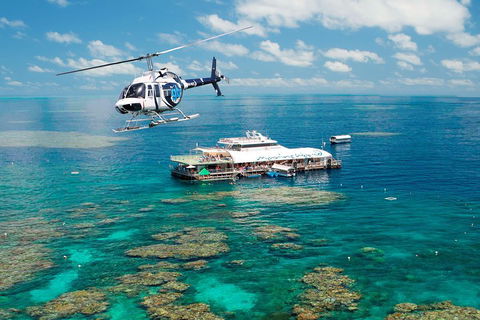 Great Barrier Reef Day Cruise From Cairns Including Snorkeling And Marine Biologist Presentation - Restaurant Darwin 5