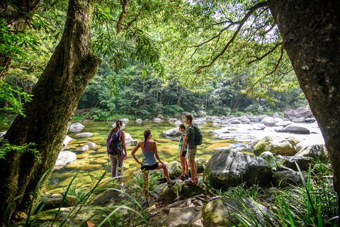 Private Daintree Mossman Gorge Exclusive Nature And Wildlife Focus - Restaurant Darwin 5