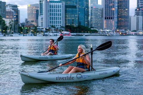 Brisbane Kayak Tour - Restaurant Darwin 3