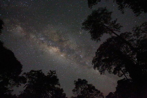 Evening Rainforest & Glow Worm Experience - Restaurant Darwin 4