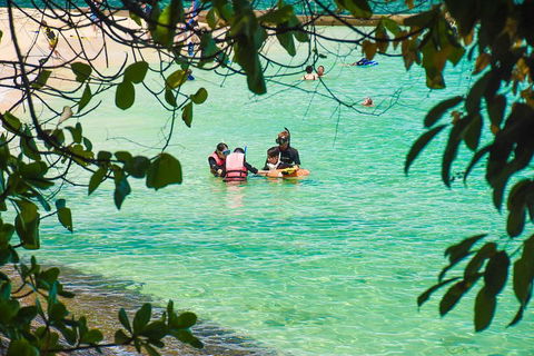 Green Island Day Trip From Cairns - Restaurant Darwin 2