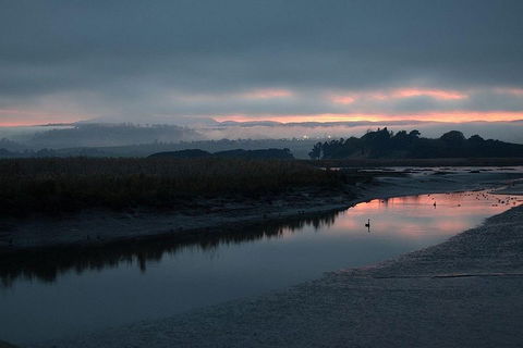 Launceston Private Charter Service - Restaurant Darwin 1