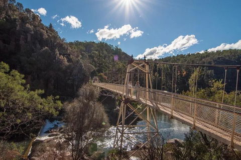 Launceston Private Charter Service - Restaurant Darwin 5